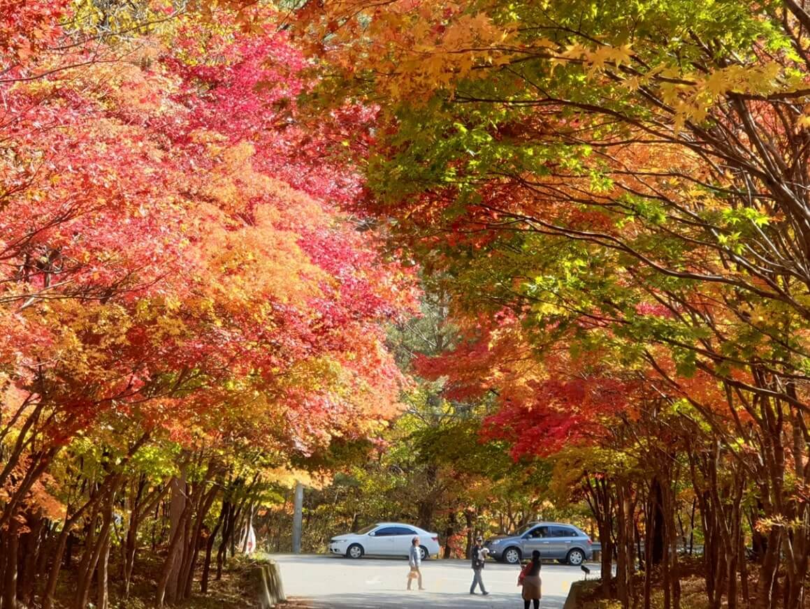 강원도 인제 한계령 필례계곡 드라이브 코스
