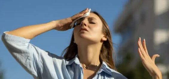 더위 관련 사진