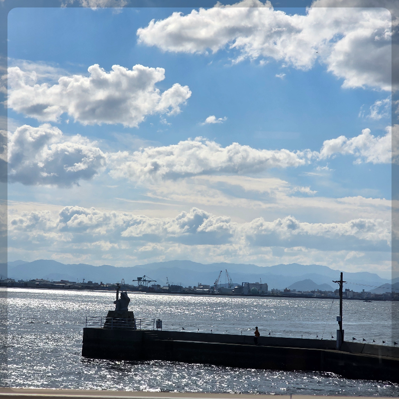 항구 풍경 / Harbor view