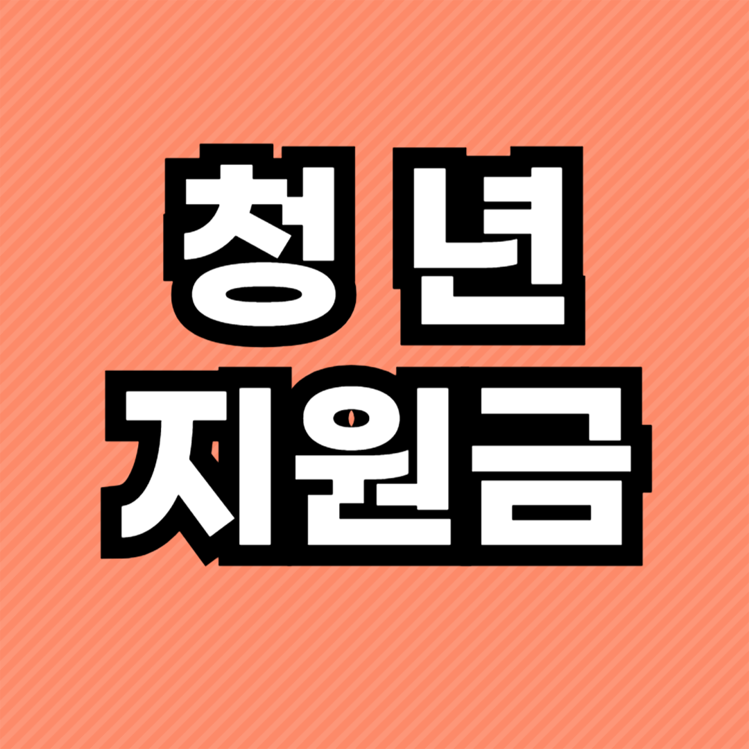 2025년 청년지원금 총정리 신청부터 수령까지 완벽 가이드