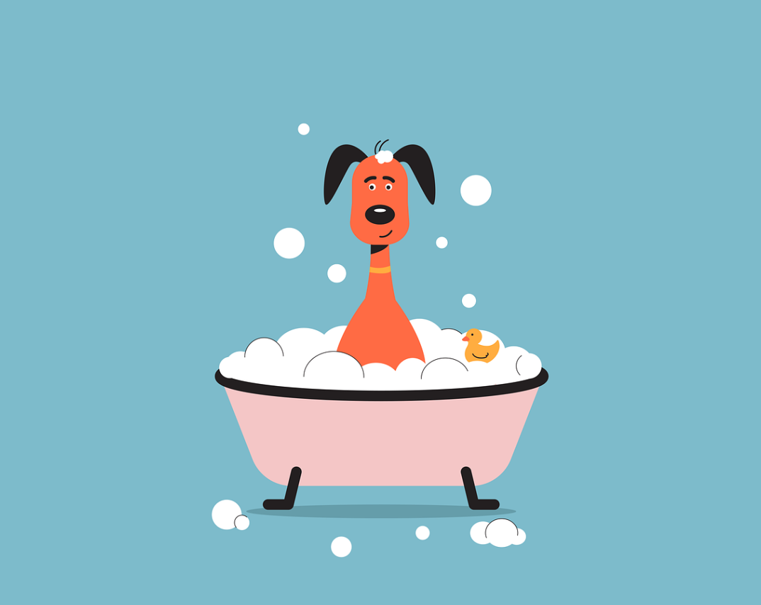 강아지 목욕 일러스트