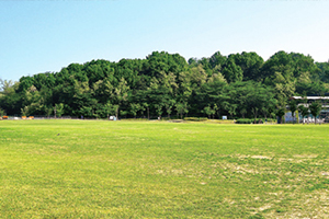 서울 해돋이 일출 명소