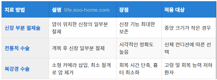 신장 부분 절제술
