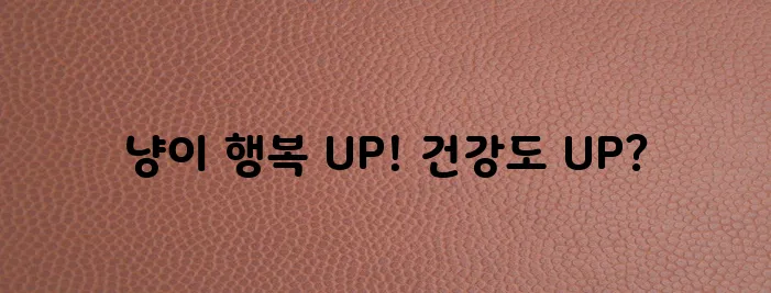 고양이 수컷 중성화 수술 발정부터 건강까지 꼭 알아두세요!