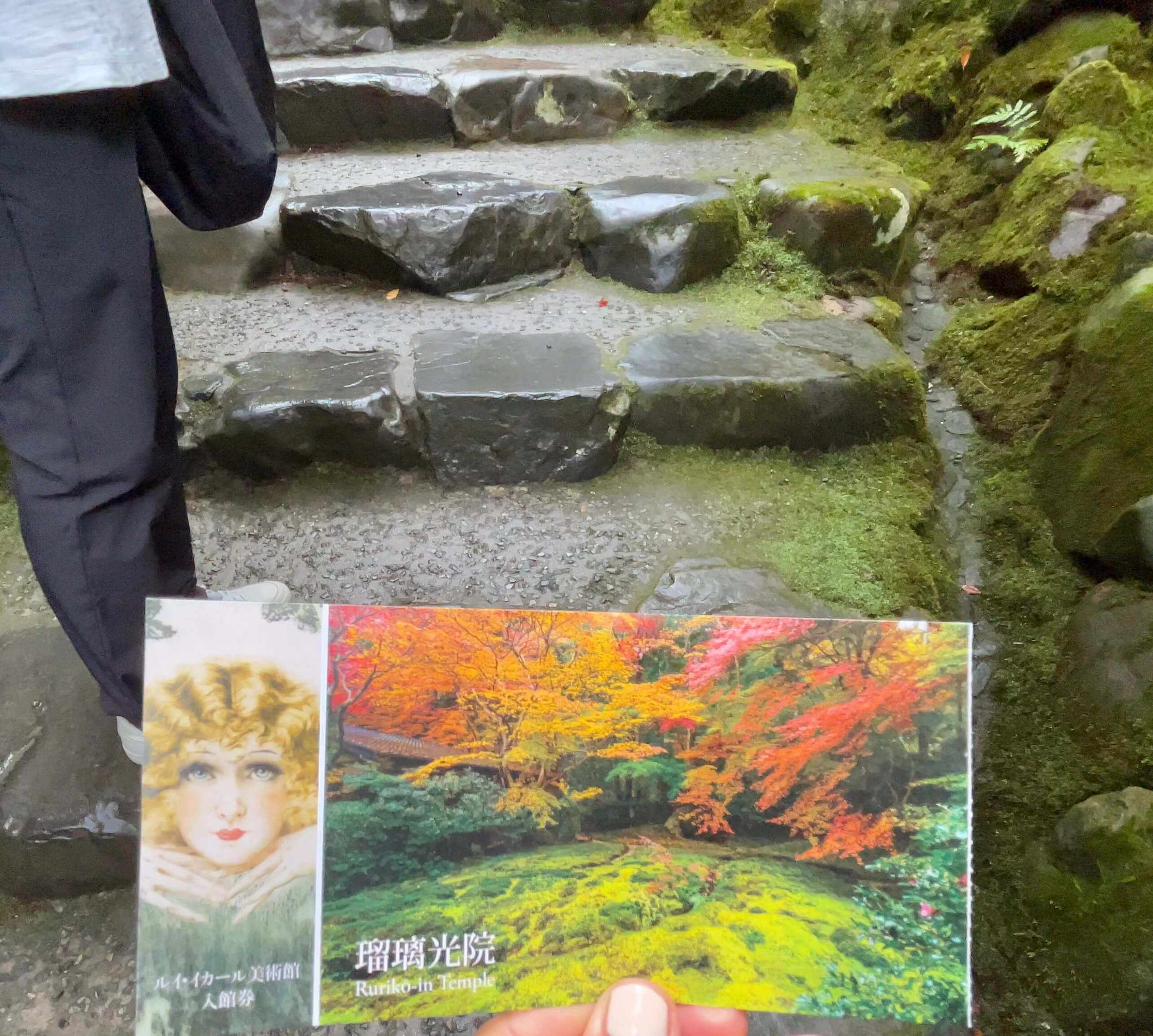 오사카 현지인도 간다! 교토 루리코인 가을단풍 명소 후기 관련사진