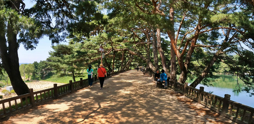 제천 의림지 솔밭공원