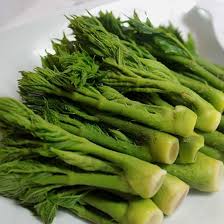 두릅