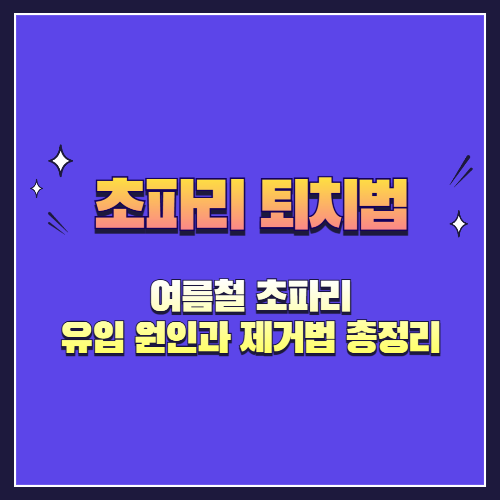 여름철 초파리 유입 원인과 제거법 총정리