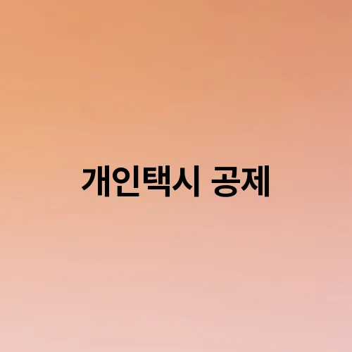 개인택시 공제