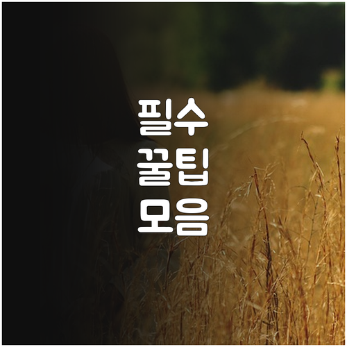 2025 어업인 이동수리소 지원사업 ..