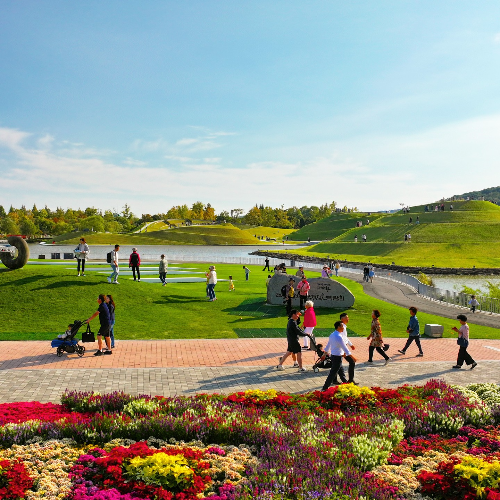 순천만 갈대축제