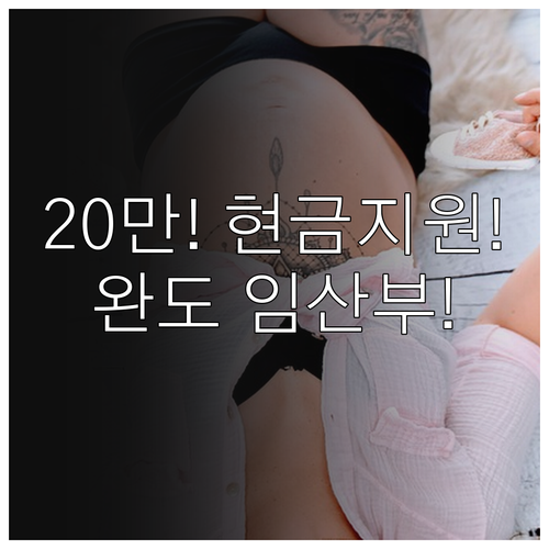 2025 완도군 임산부 교통비 20만..