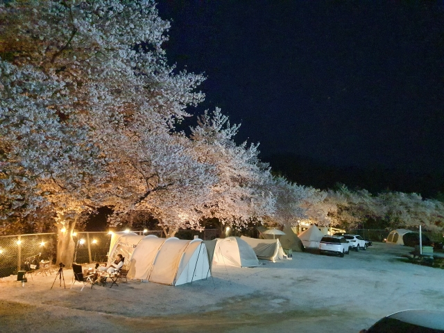합천 꿈꾸는 캠핑장