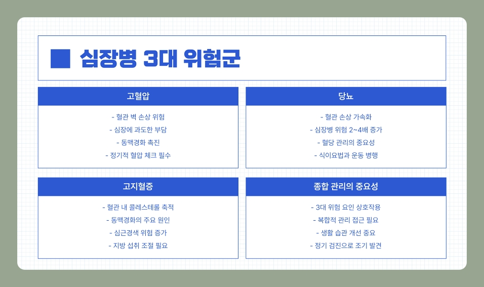 60세 이상이라면 꼭 알아야 할 심장 건강 체크리스트와 생활습관 예방법 (60대, 70대, 80대)