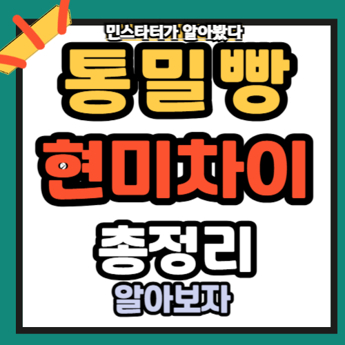 통밀빵 통밀 현미 차이 4가지로 정리