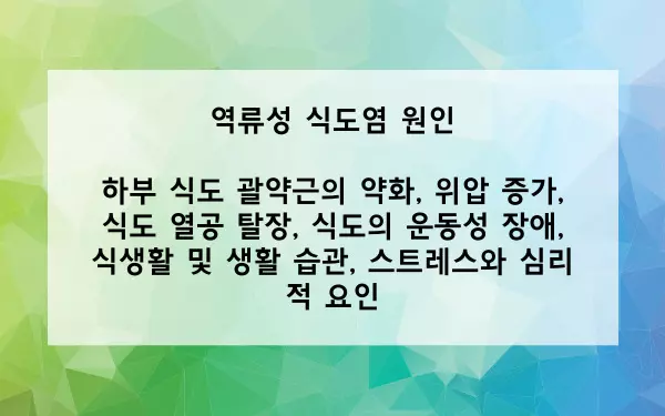역류성 식도염 원인 사진