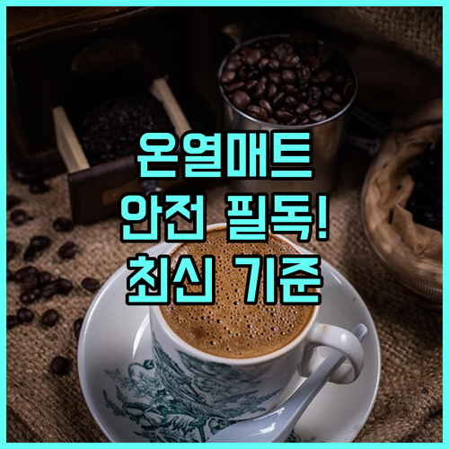 따뜻한 겨울을 위한 온열매트 안전 기..
