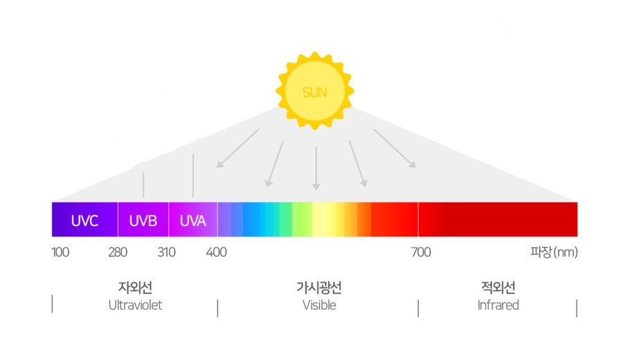 자외선