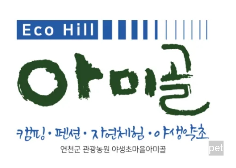 경기-연천-아미골캠핑장-예약-방법-애견-동반-가격-주소-시간-후기