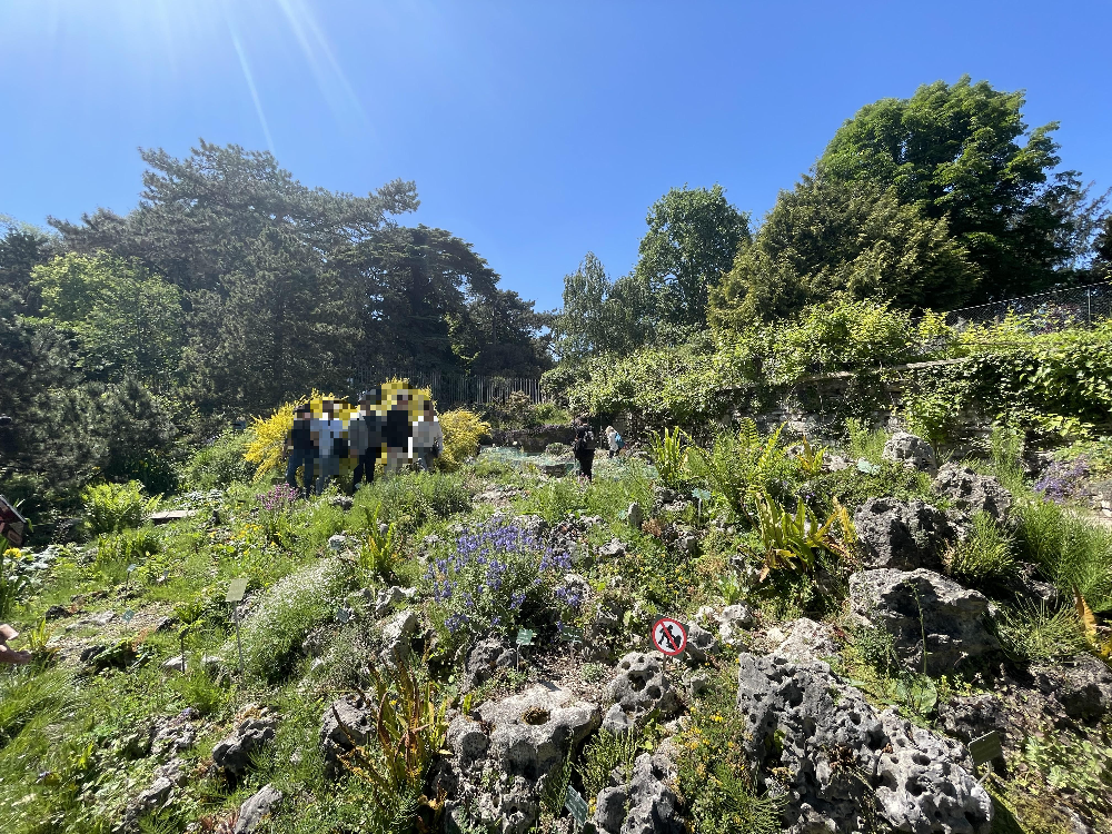 알빵 가든 (Jardin alpin)