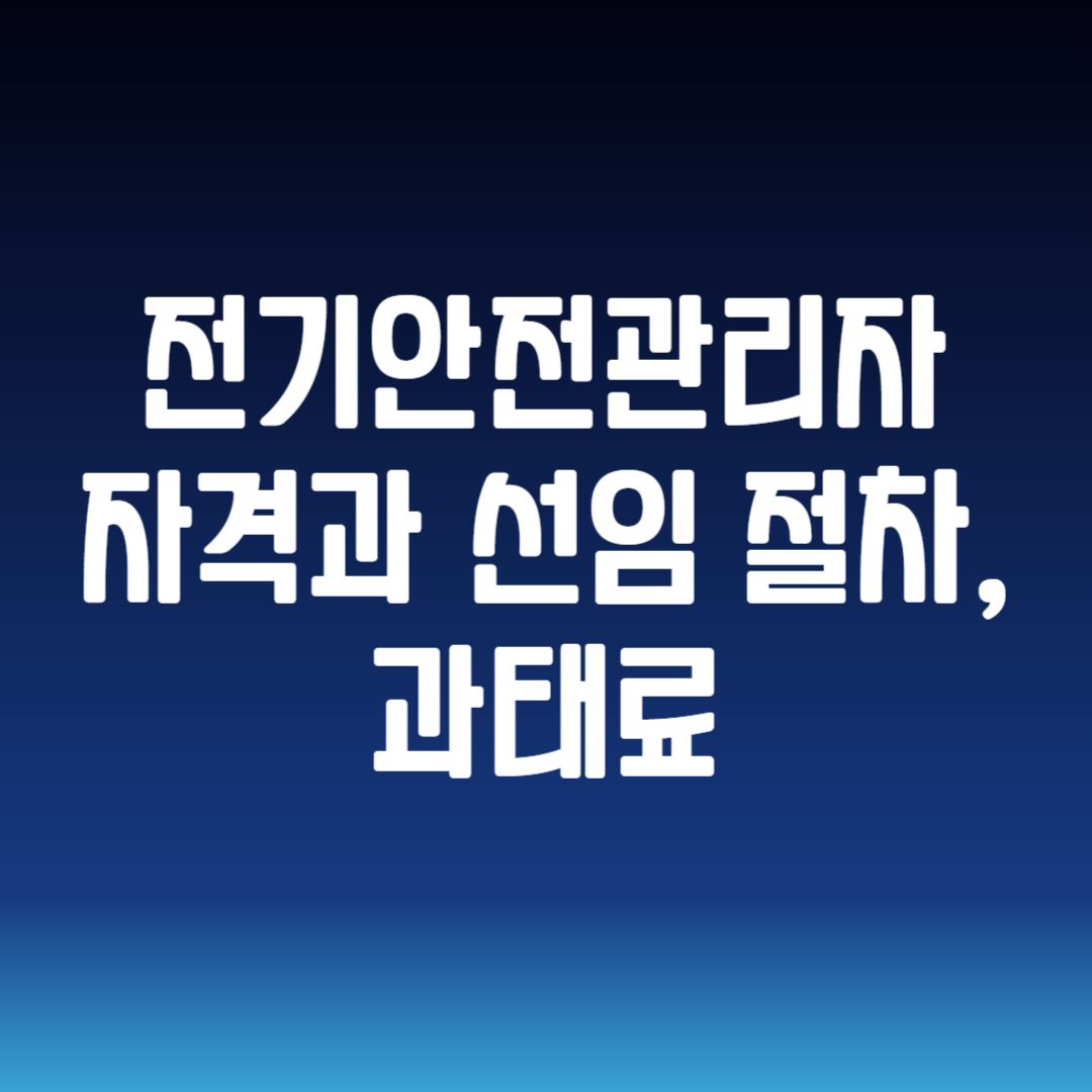 전기안전관리자