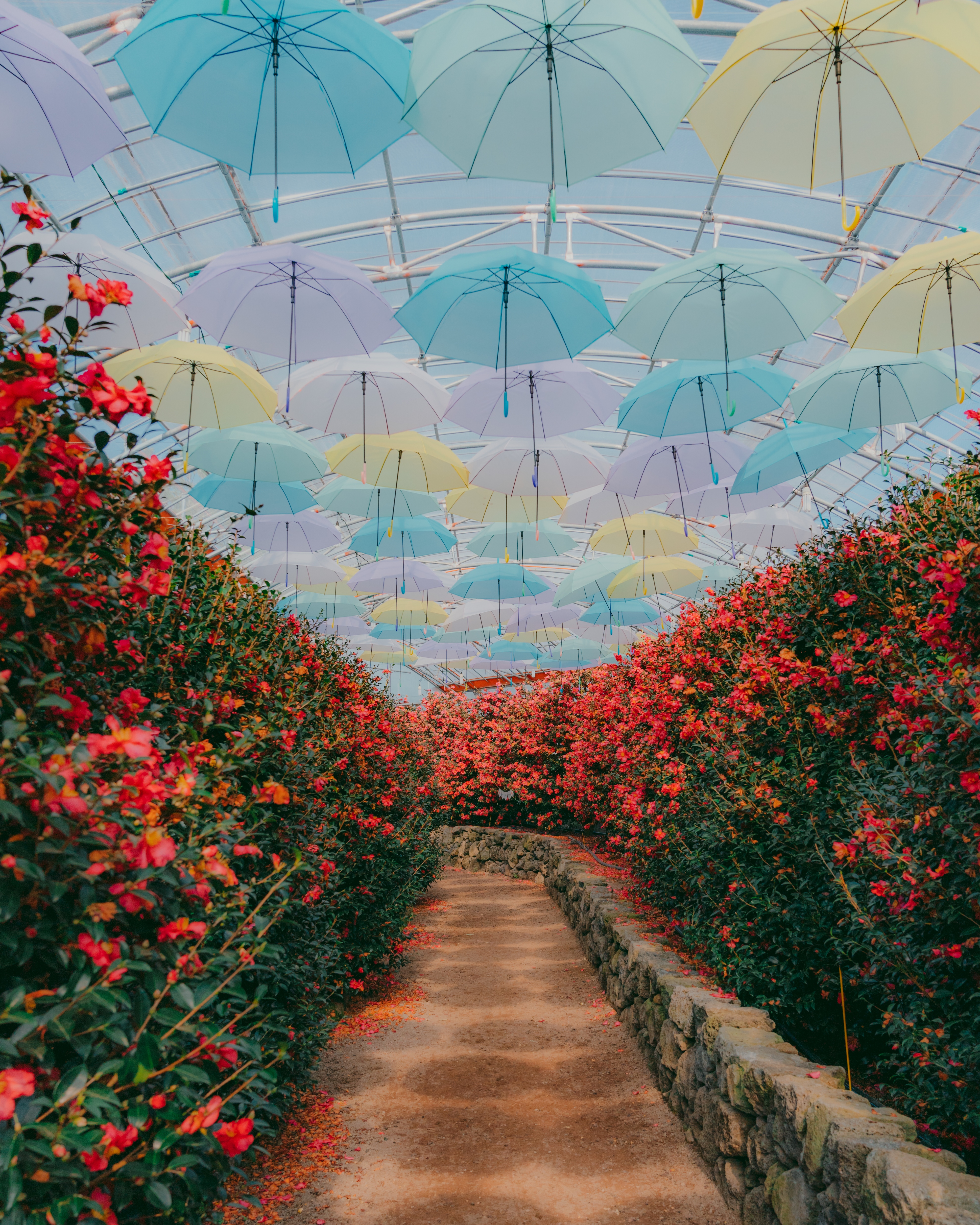 Alpha 9ㅣSEL2470GMㅣ@im0gil