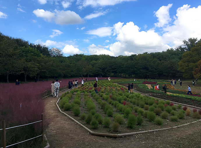 올림픽공원-풍경15