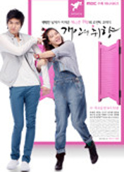 드라마 개인의취향