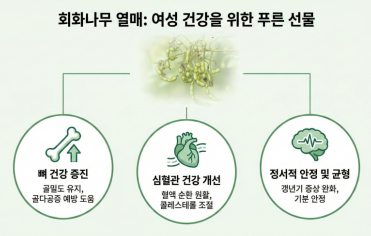 열매의 효능