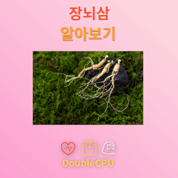 장뇌삼 탐구
