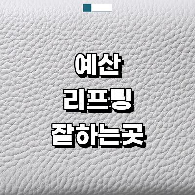 예산군 리프팅 병원