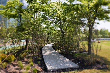 초청 정원 이미지