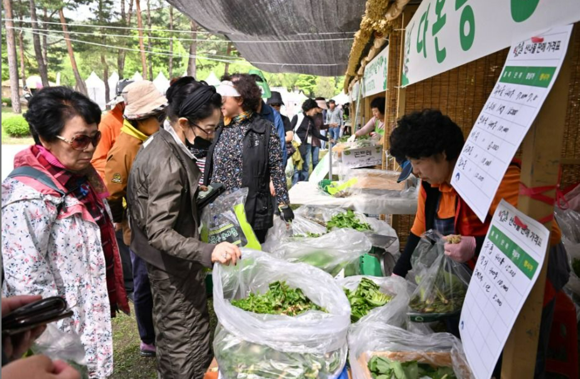 양평 용문산 산나물축제
