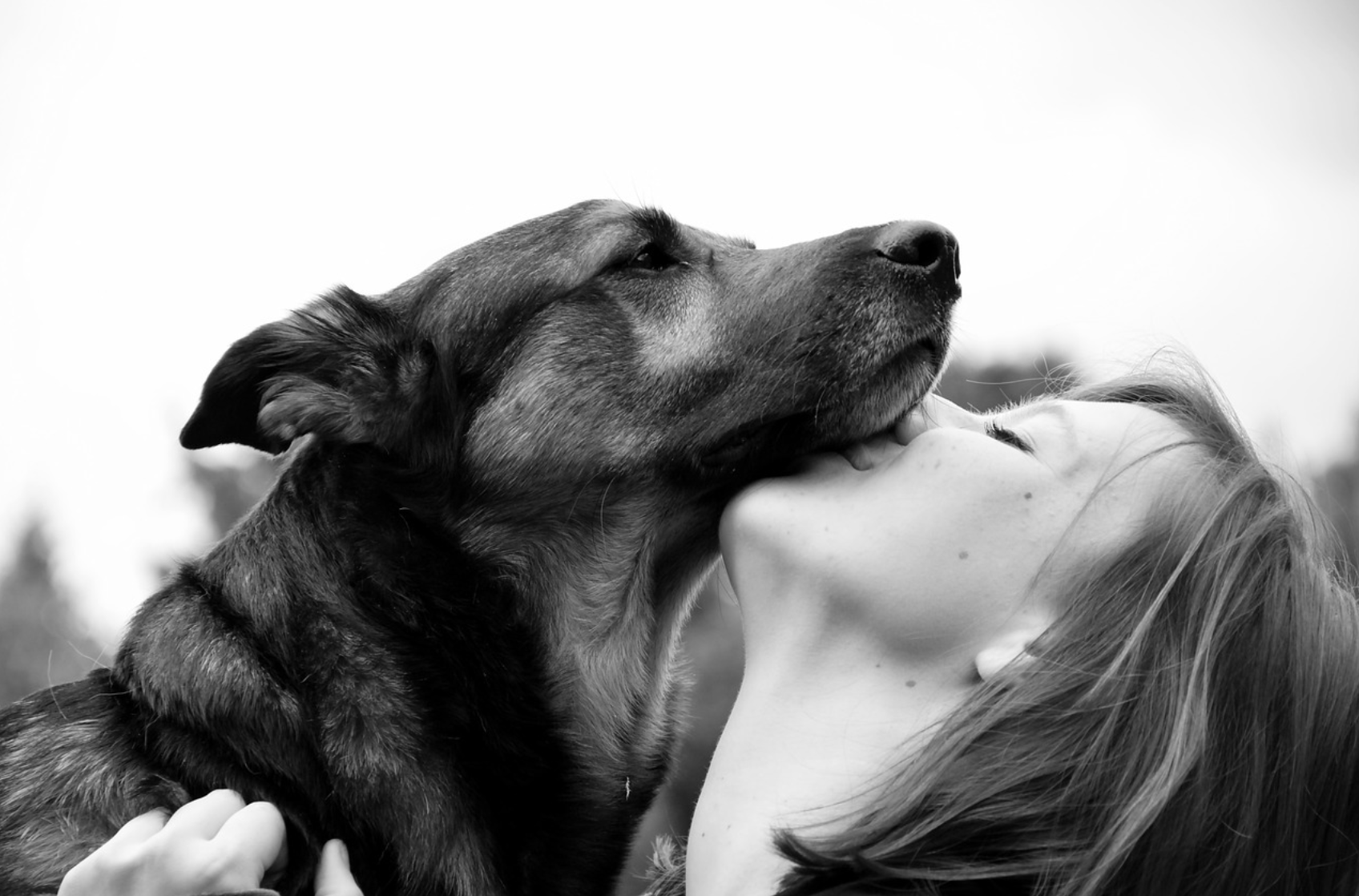 동물도 반려동물을 키울까?