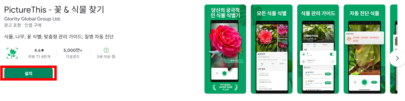 사진으로 식물이름 찾기