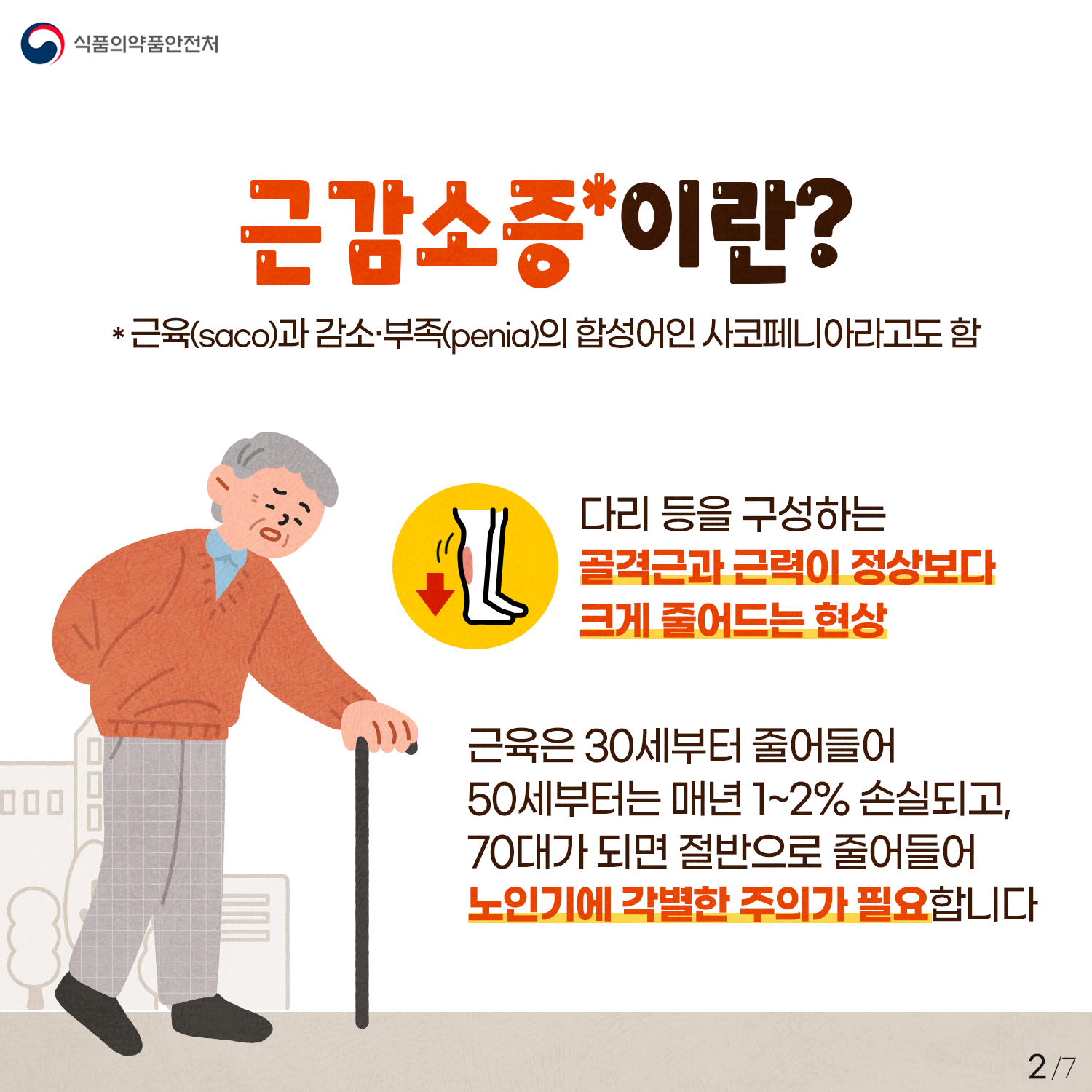 노년기 근육 감소 예방