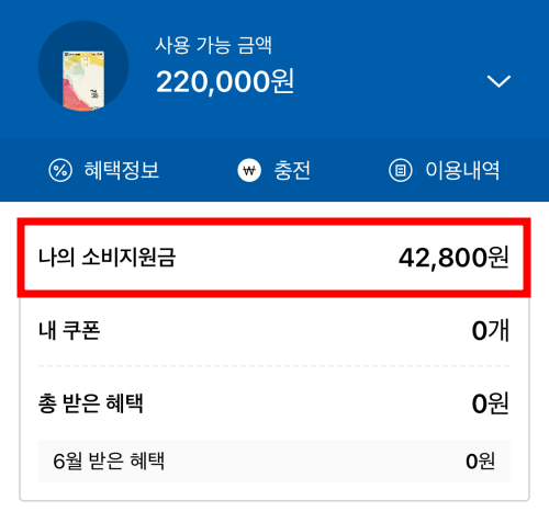 경기지역화폐-앱-다운로드