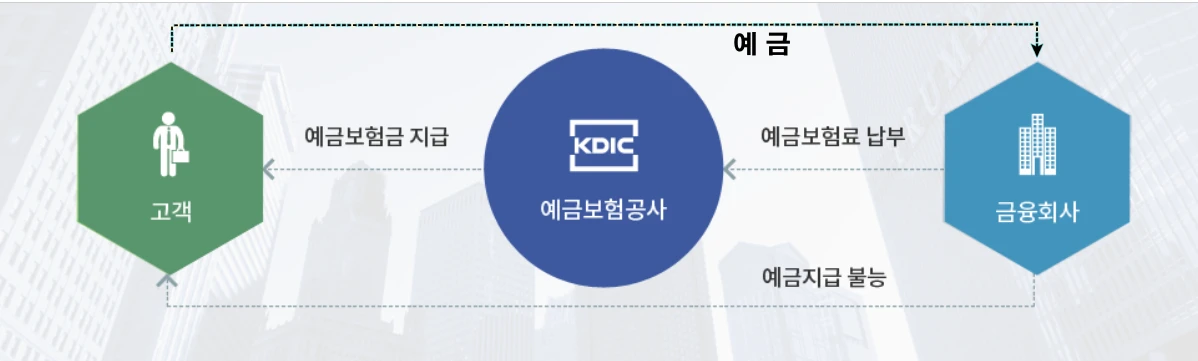 예금보험의 구조