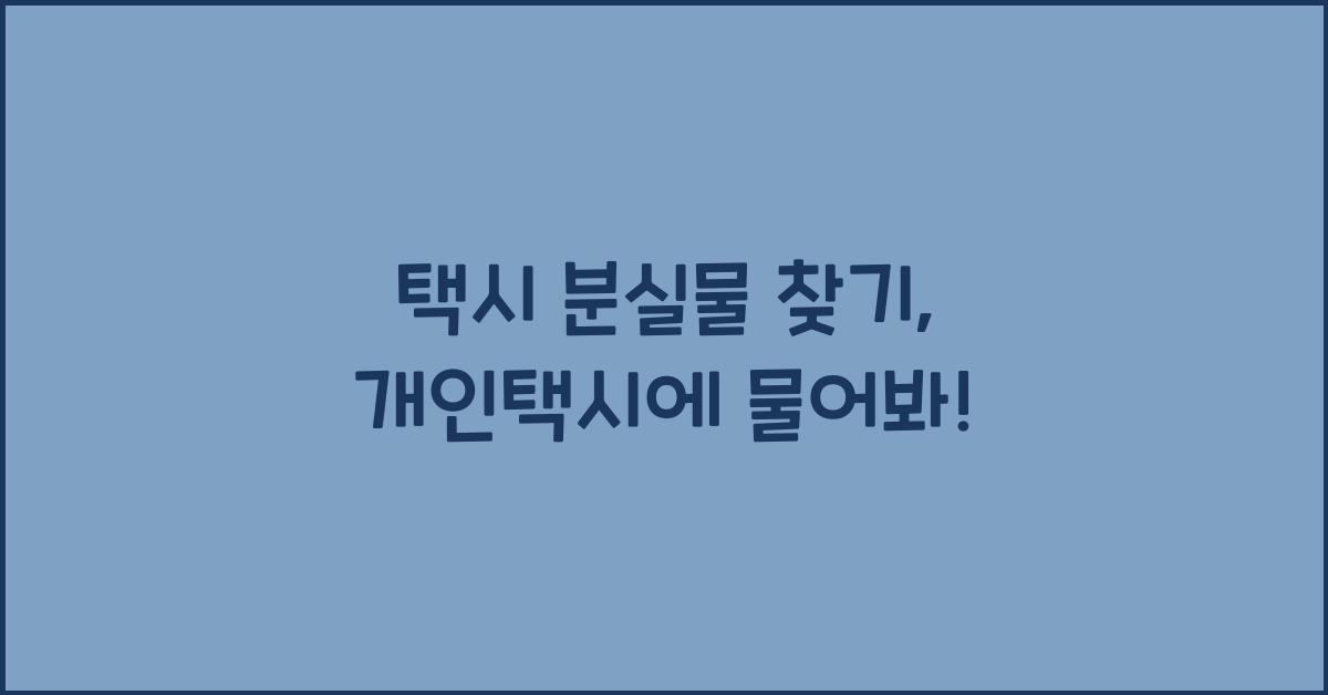 택시 분실물 찾기 (개인택시 포함)