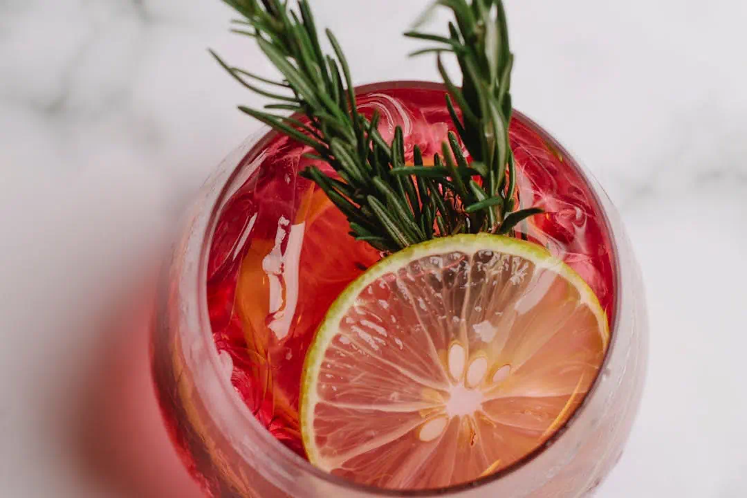 자몽레몬즙 관련사진1