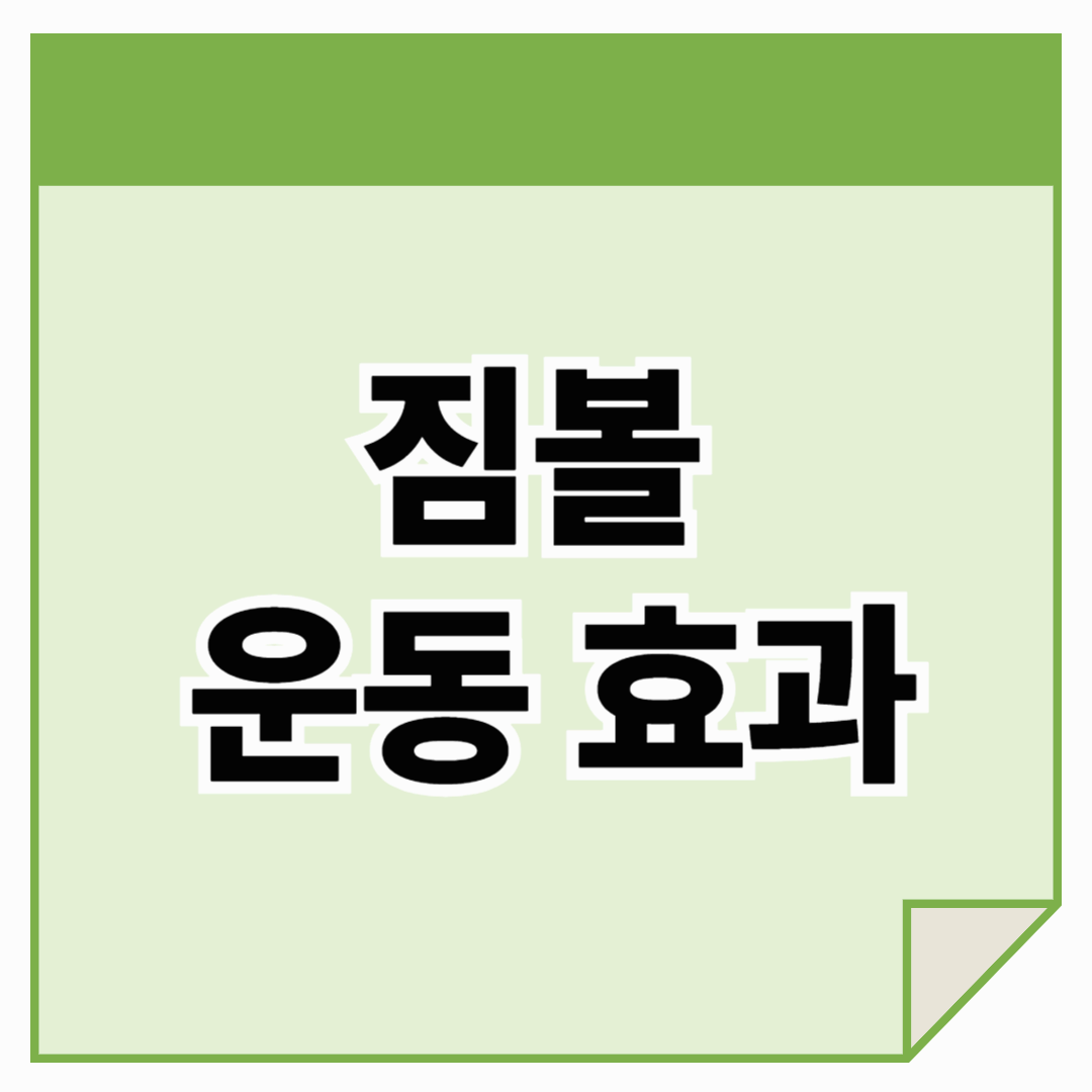 짐볼 운동 효과: 집에서도 균형 잡힌 몸을 만드는 비결