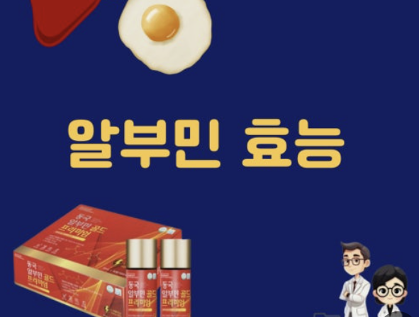 알부민의 효능