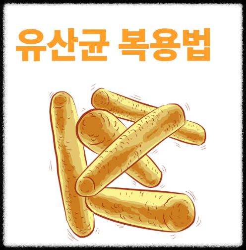 유산균 복용법