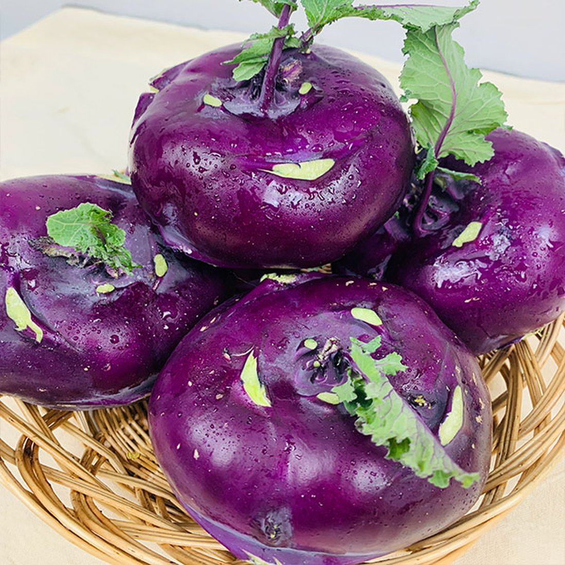 콜라비
