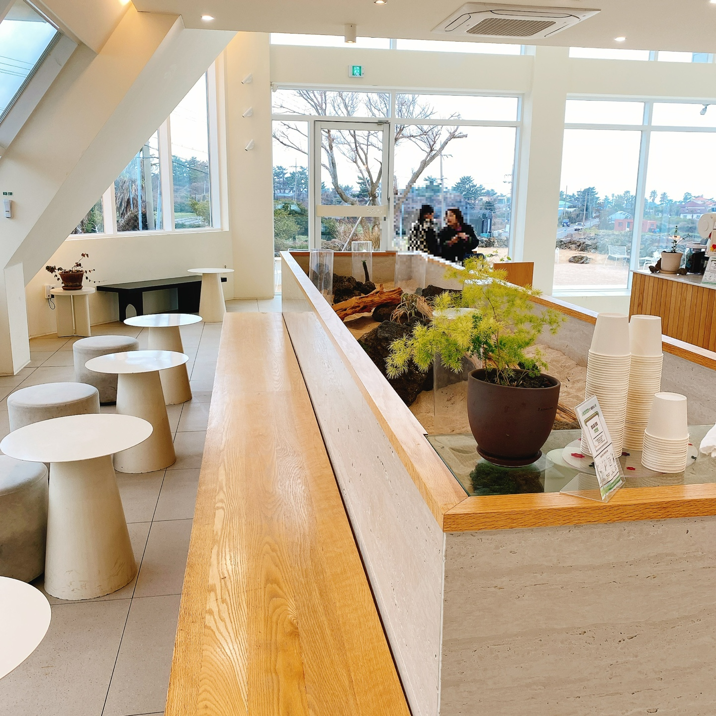 제주 한림공원 명월 디저트맛집 뵤뵤카페