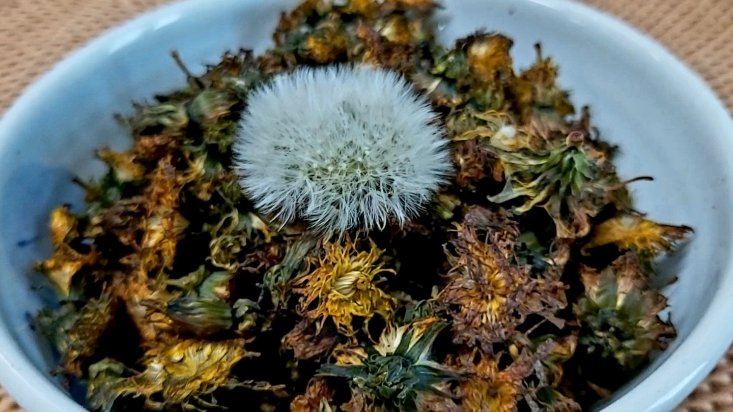 민들레 꽃차 만들기