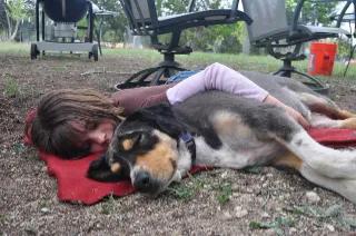 기초대사량 늘리는 방법