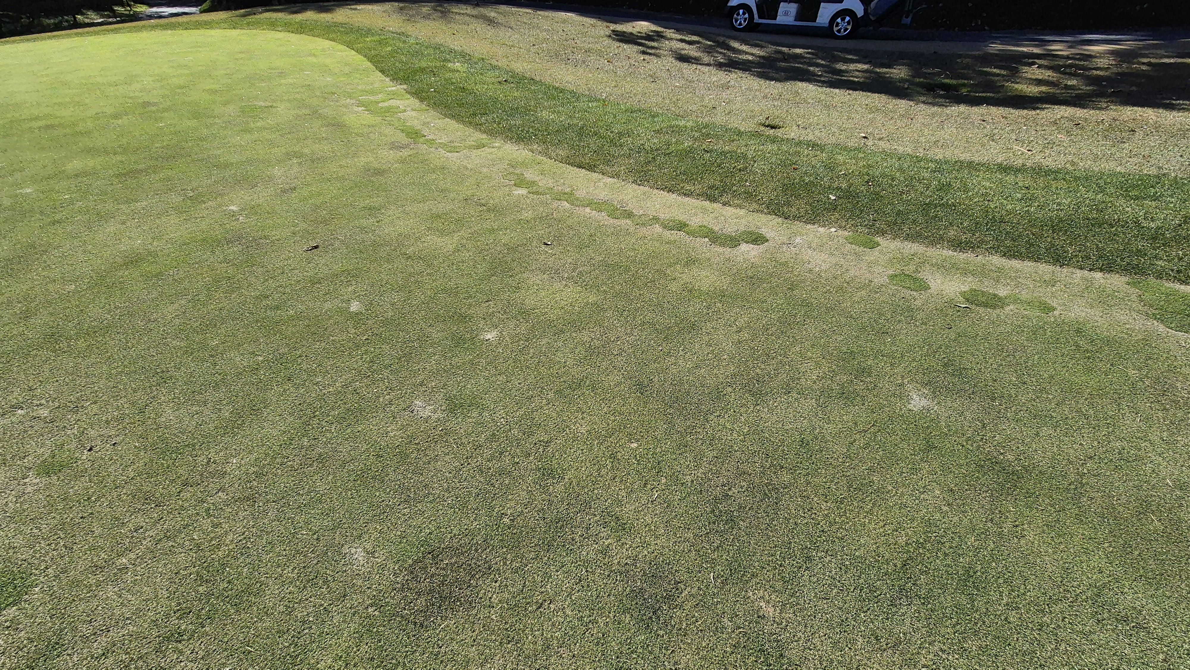 동촌gc 그린관리상태