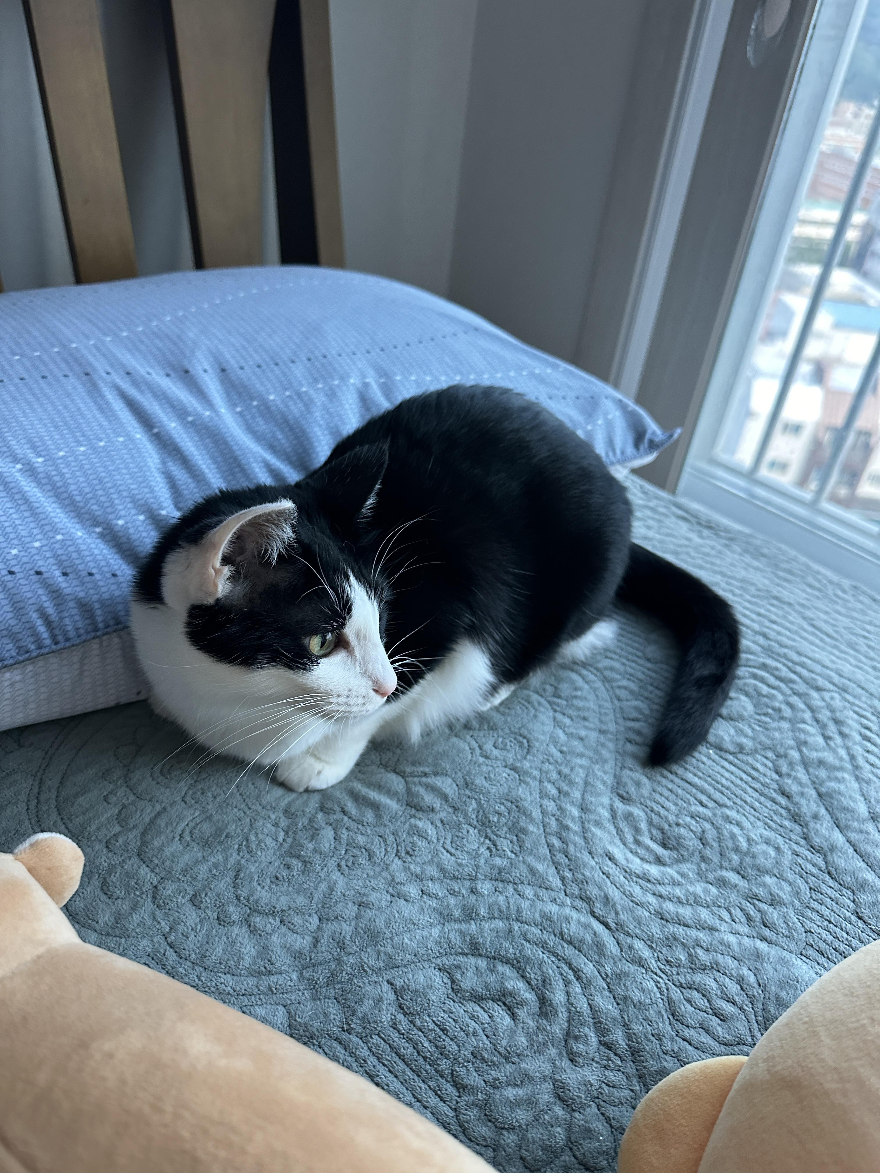 정신을_차린_두리