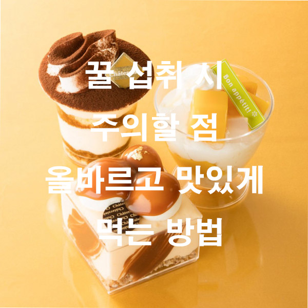 꿀 섭취 시 주의할 점 올바르고 맛있게 먹는 방법